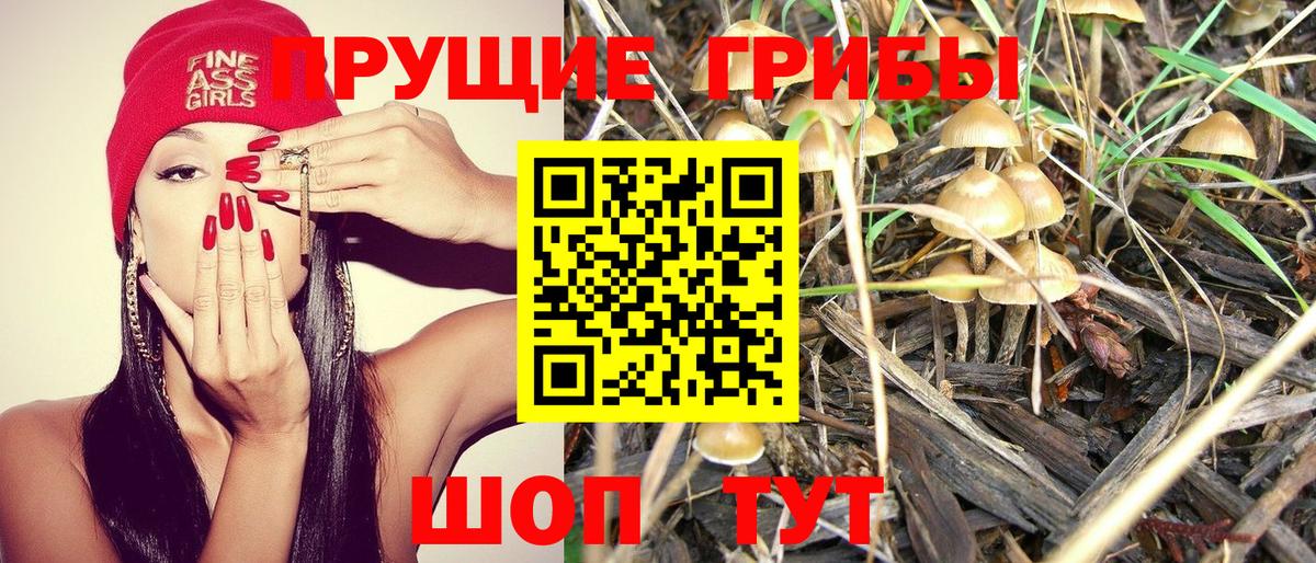 Псилоцибиновые грибы Psilocybe  где можно купить наркотик  Вход с VPN  Красногорск  Псилоцибиновые грибы Psilocybine cubensis 