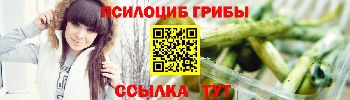 Псилоцибиновые грибы MAGIC MUSHROOMS Красногорск